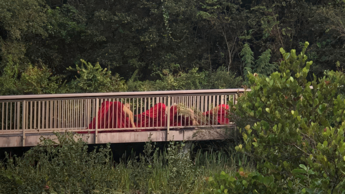 Long Key Nature Center, Davie, Florida (November 2020). First crossing, image of movers on the bridge with the skirt.