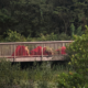 Long Key Nature Center, Davie, Florida (November 2020). First crossing, image of movers on the bridge with the skirt.