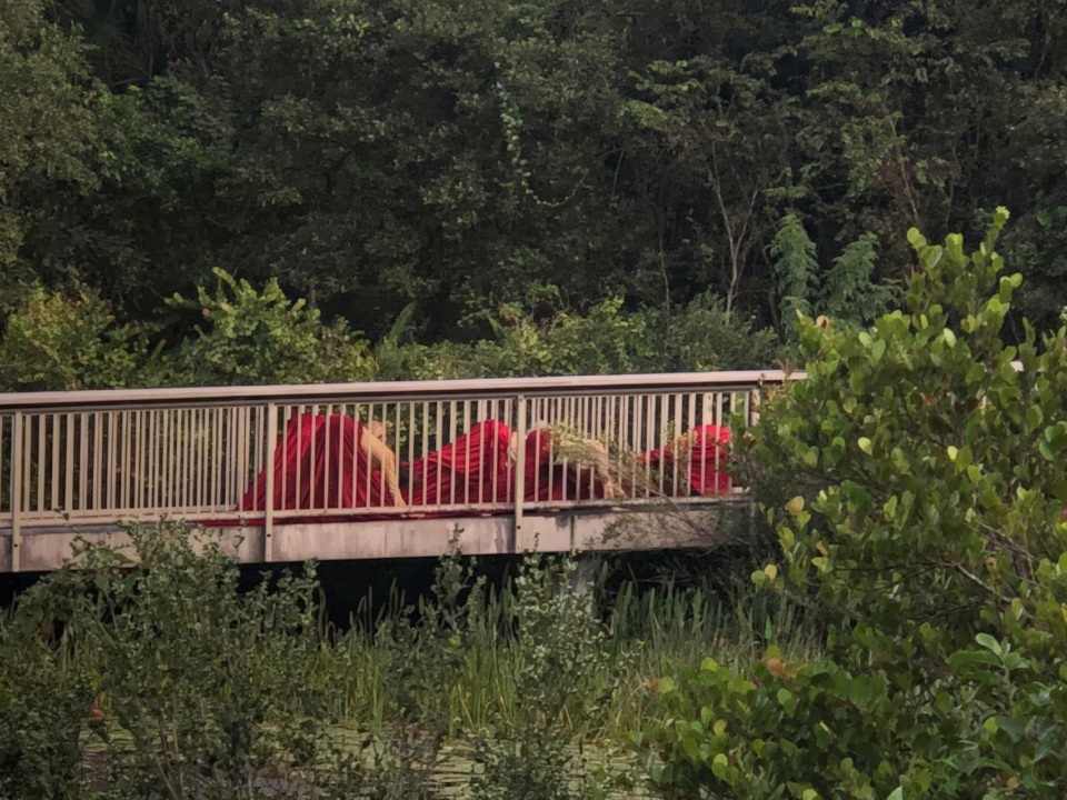 Long Key Nature Center, Davie, Florida (November 2020). First crossing, image of movers on the bridge with the skirt.