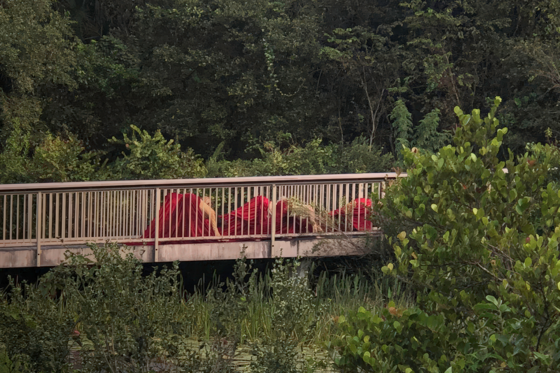 Long Key Nature Center, Davie, Florida (November 2020). First crossing, image of movers on the bridge with the skirt.